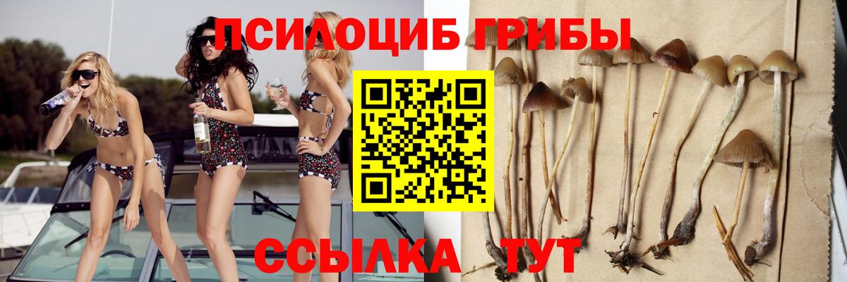 Галлюциногенные грибы GOLDEN TEACHER  Галлюциногенные грибы мухоморы  Назарово  где можно купить   Вход с VPN 
